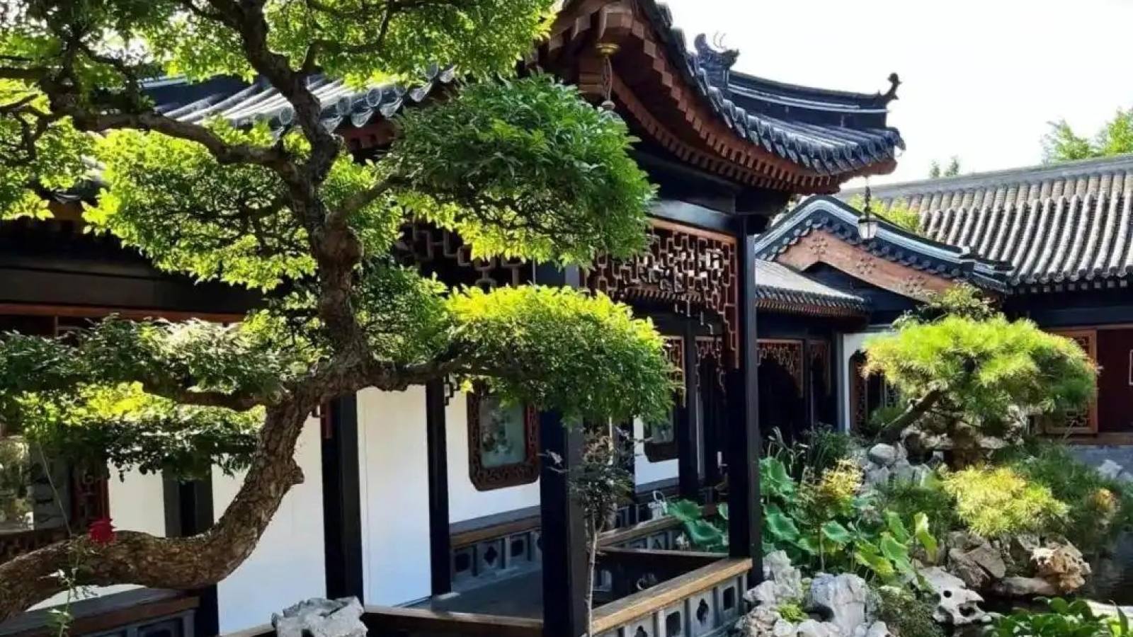 球速体育 首屏主视觉 体育直播与体育社区